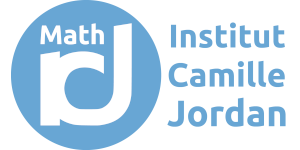 Institut Camille Jordan (for 12 months)