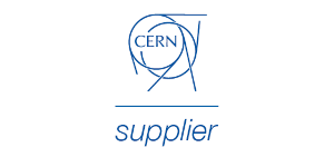 CERN (for 9 months)