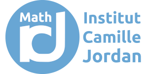 Institut Camille Jordan (for 25 months)