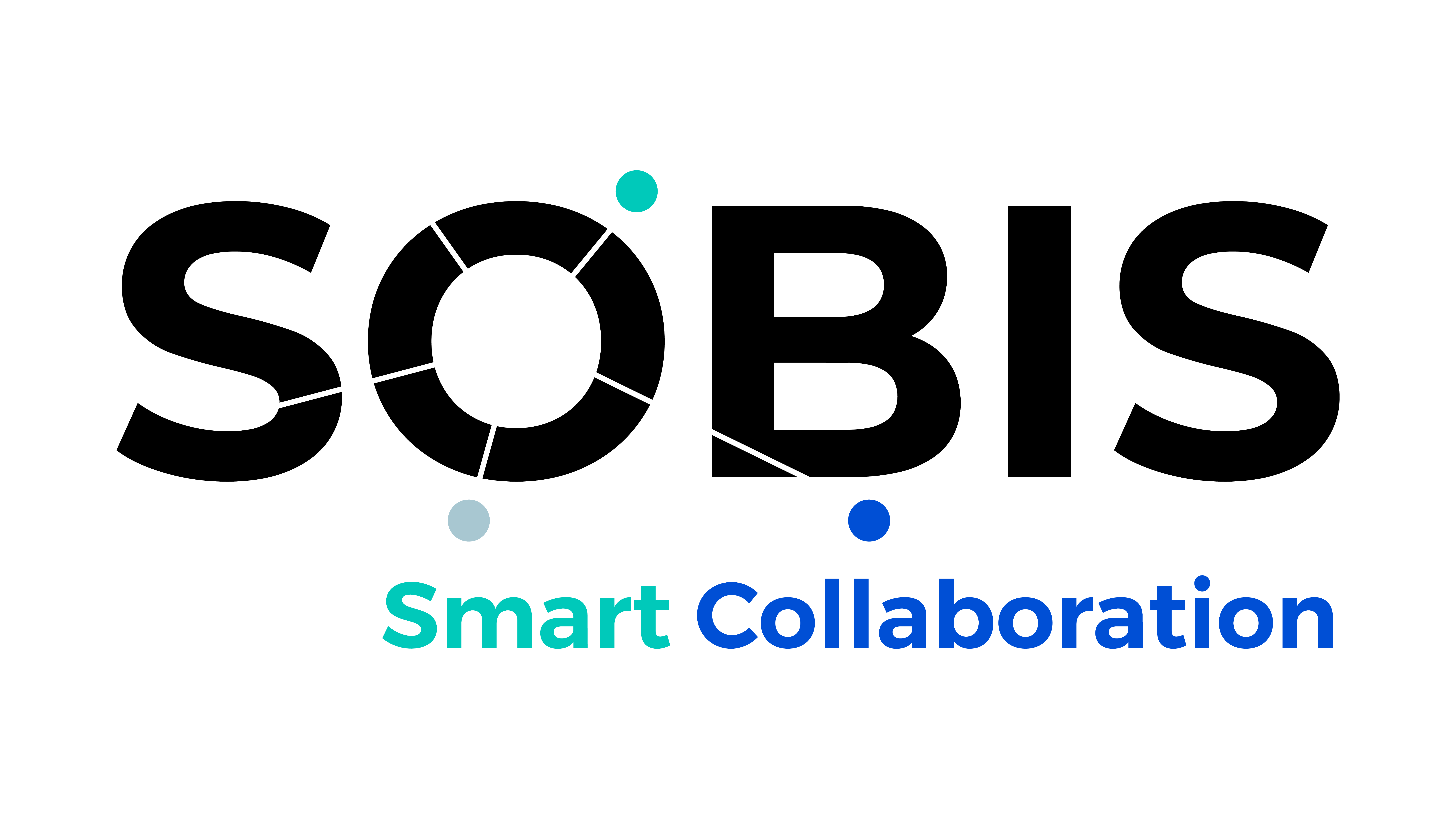 SOBIS Software GmbH (for 9 months)