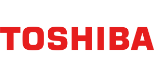 Toshiba Corporation (for 114 months)